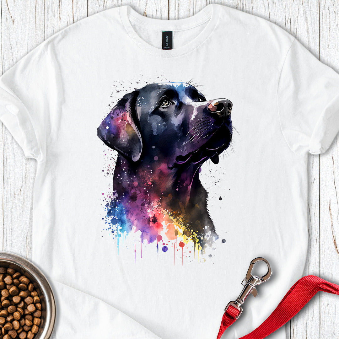 Black Labrador Portrait White