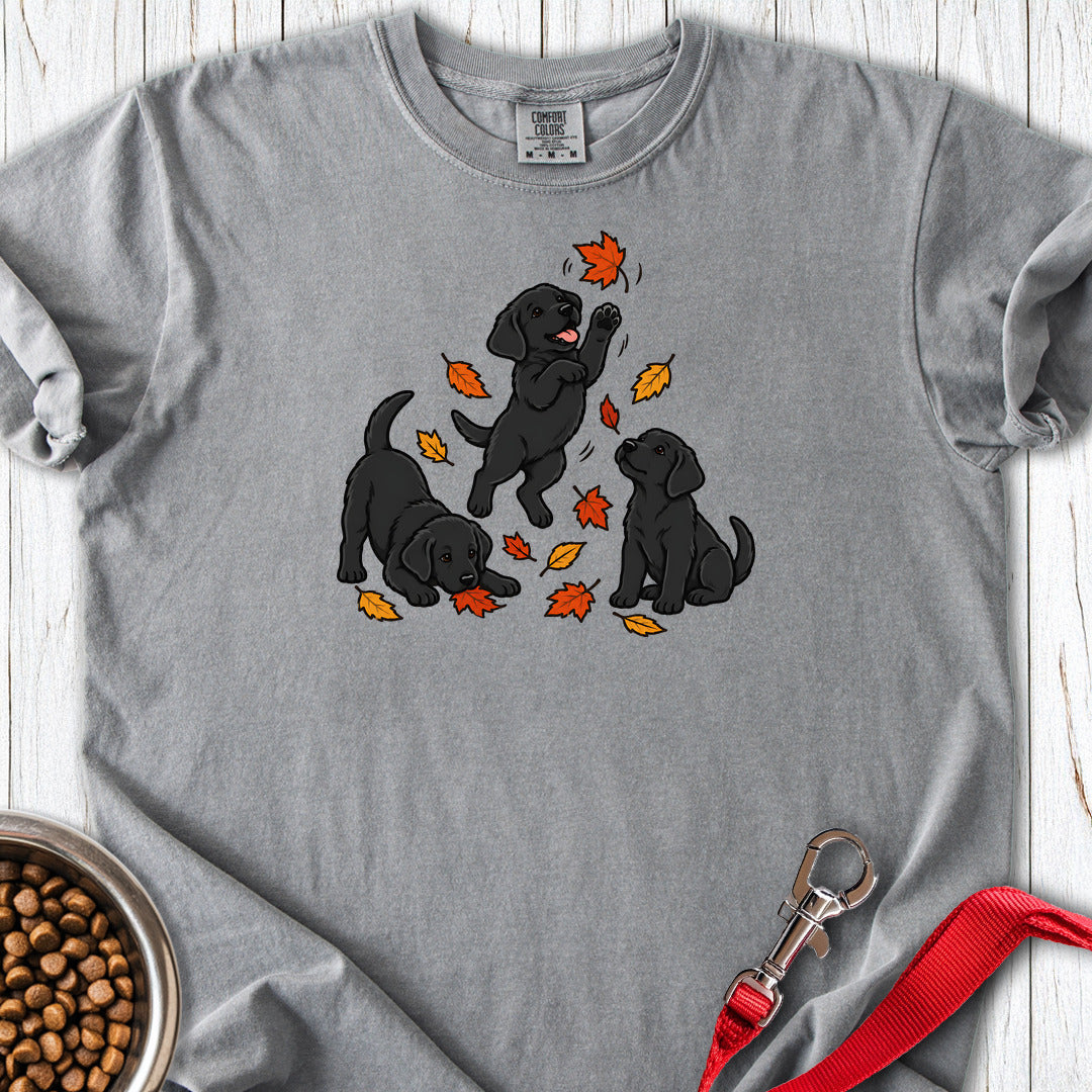 Black Labrador Puppies Fall Leaves Premium Tee — Grey