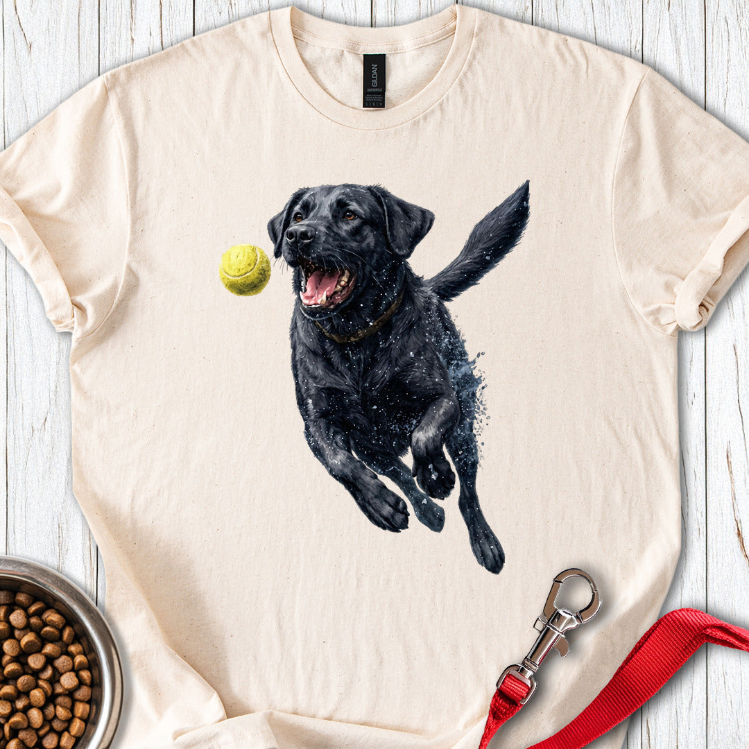 Black Labrador Running Natural