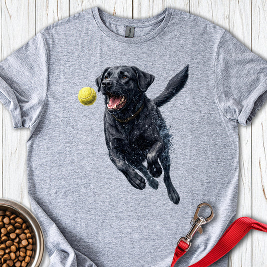 Black Labrador Running Sport Grey
