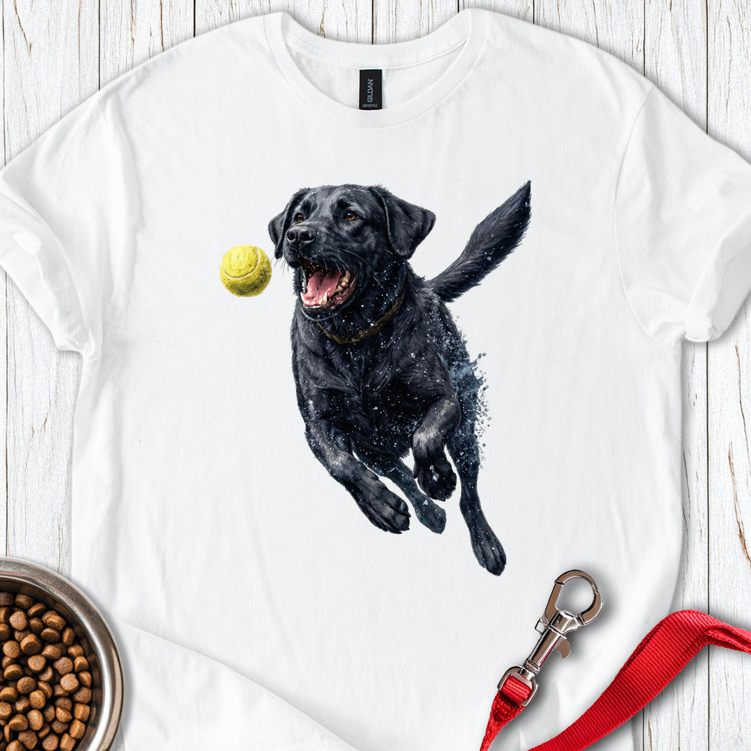 Black Labrador Running White