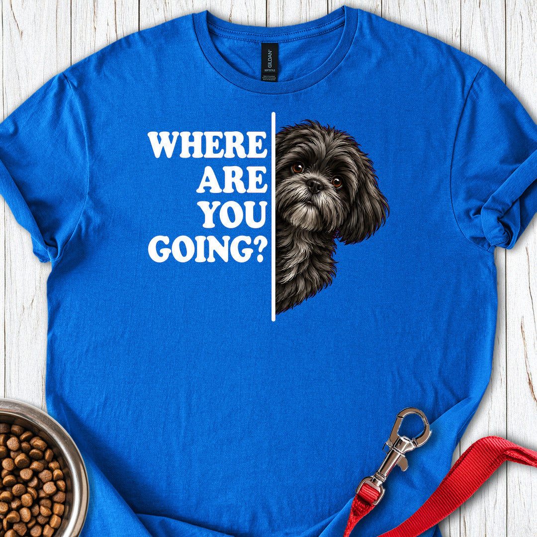 Black Shih Tzu Alert — Royal