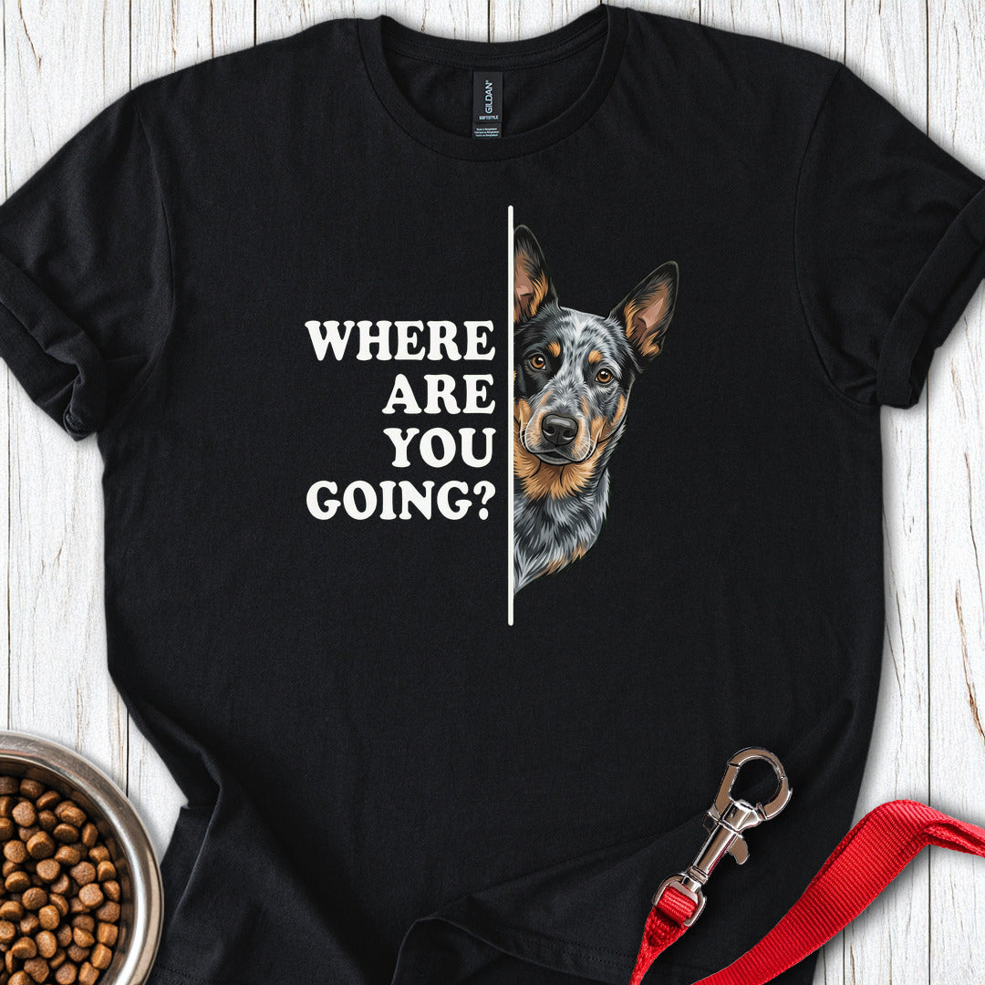 Blue Heeler Following — Black