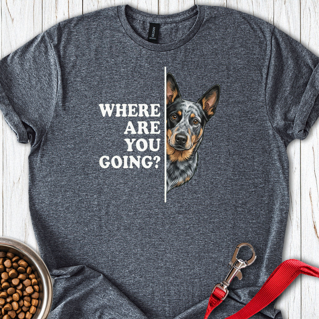 Blue Heeler Following — Dark Heather
