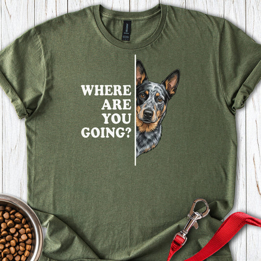 Blue Heeler Following Military Green