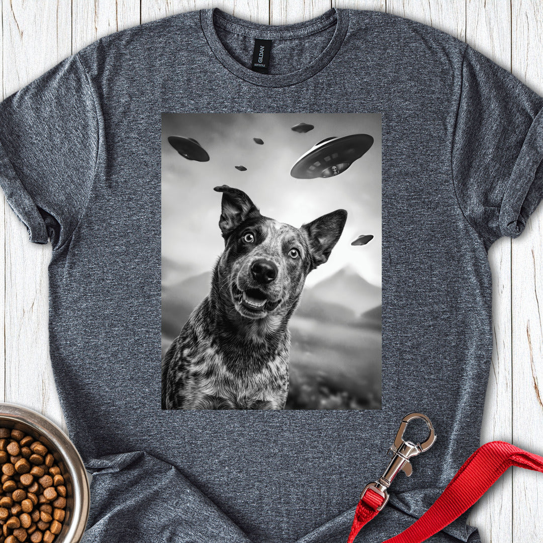 Blue Heeler UFO Dark Heather