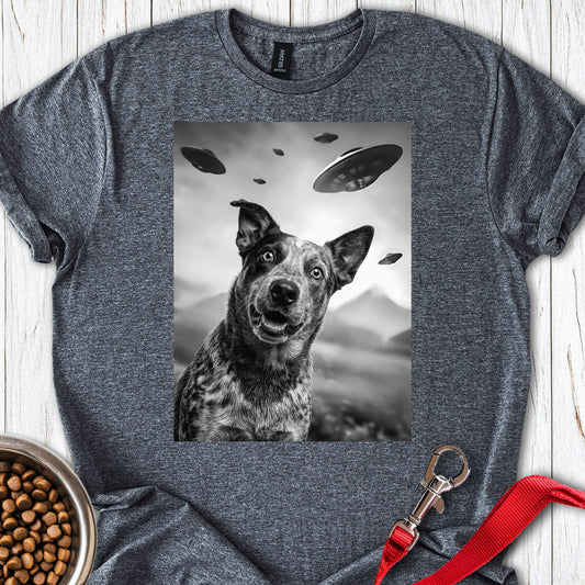 Blue Heeler UFO — Dark Heather