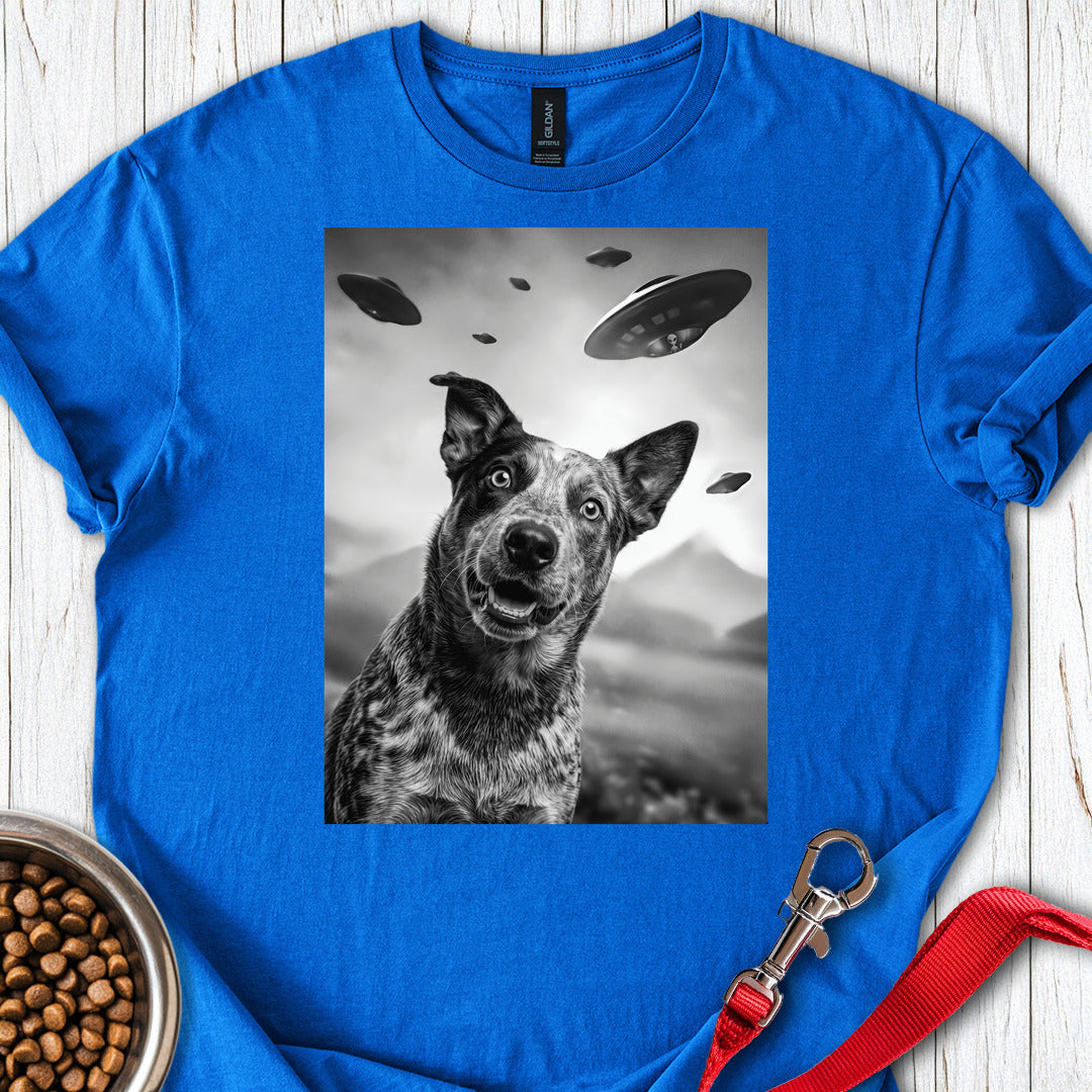 Blue Heeler UFO Royal