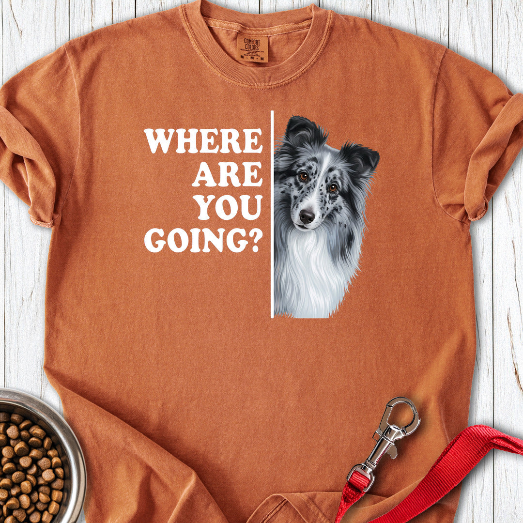 Blue Merle Shetland Sheepdog Where Are You Going Premium Tee Yam