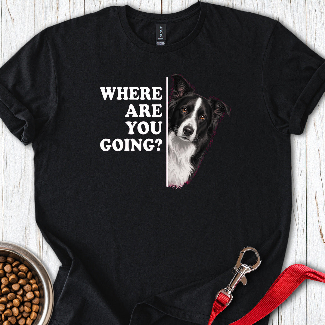 Border Collie Alert Black
