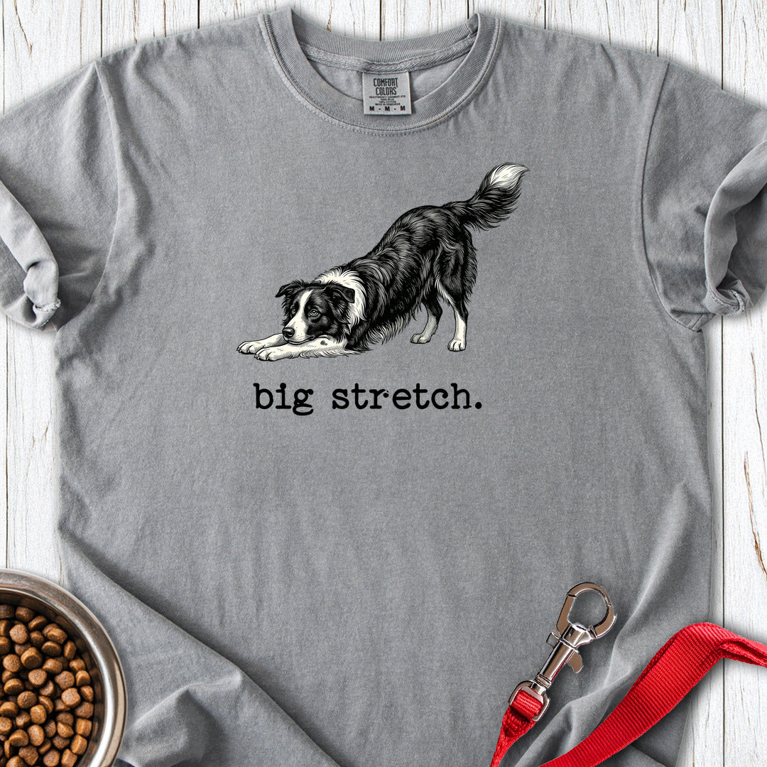 Border Collie Big Stretch Premium Tee — Grey