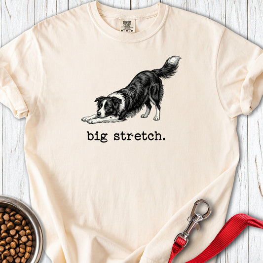 Border Collie Big Stretch Premium Tee Ivory