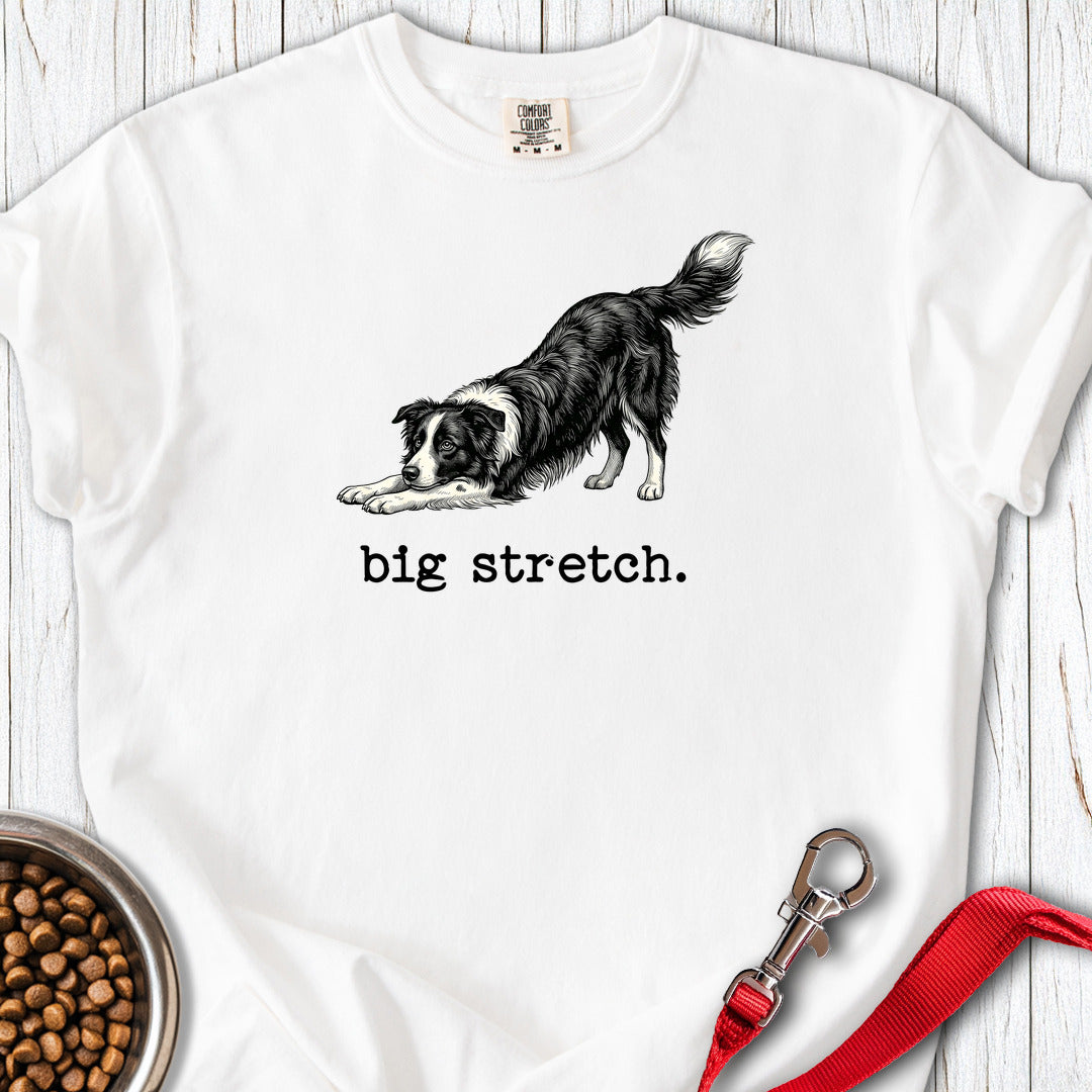 Border Collie Big Stretch Premium Tee — White