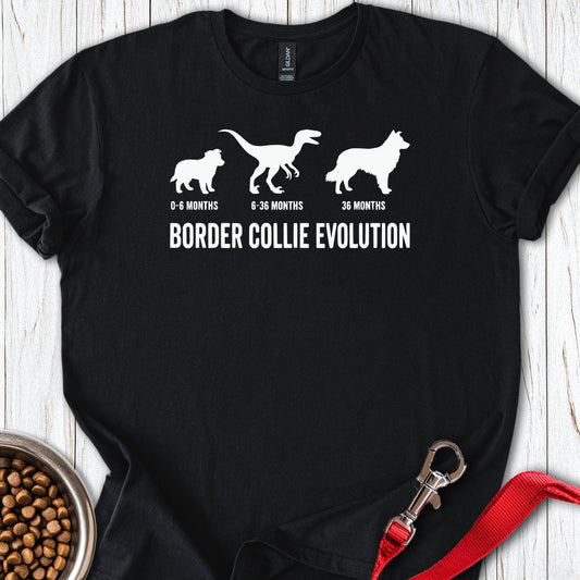 Border Collie Evolution — Black