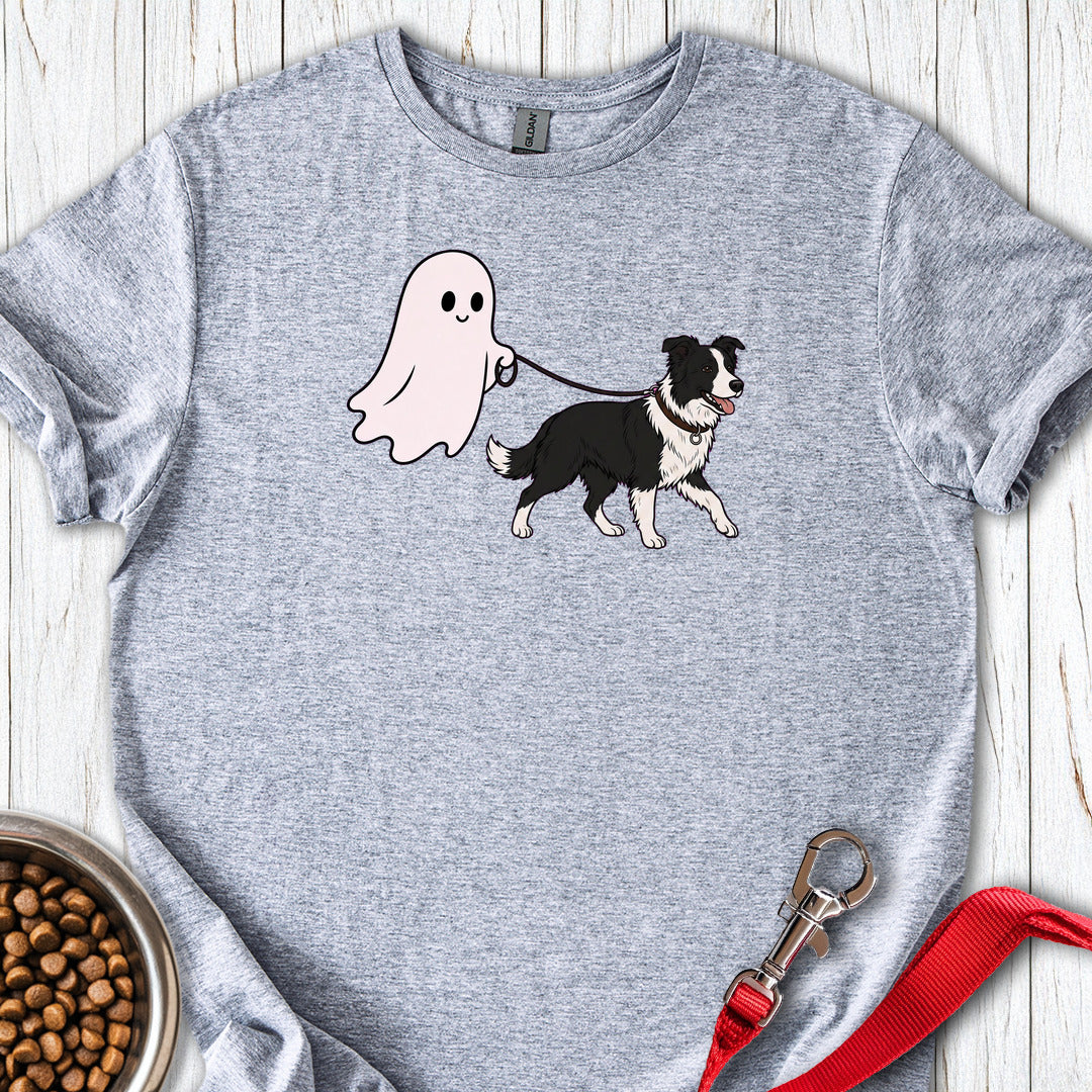 Border Collie Ghost Sport Grey