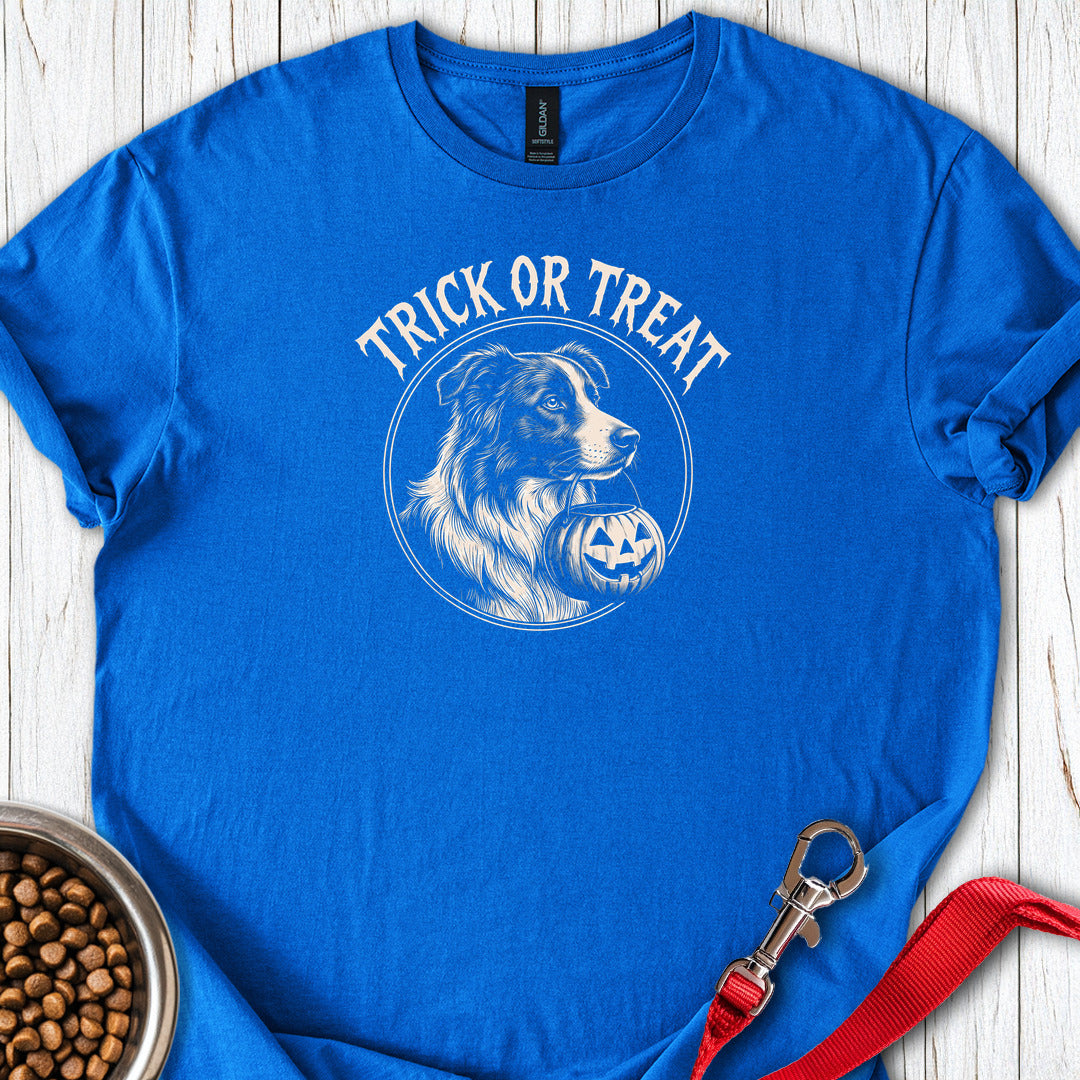 Border Collie Halloween Trick or Treat — Royal