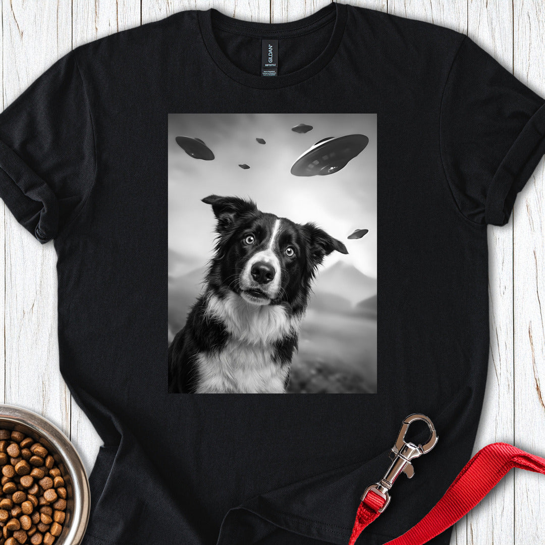 Border Collie UFO — Black