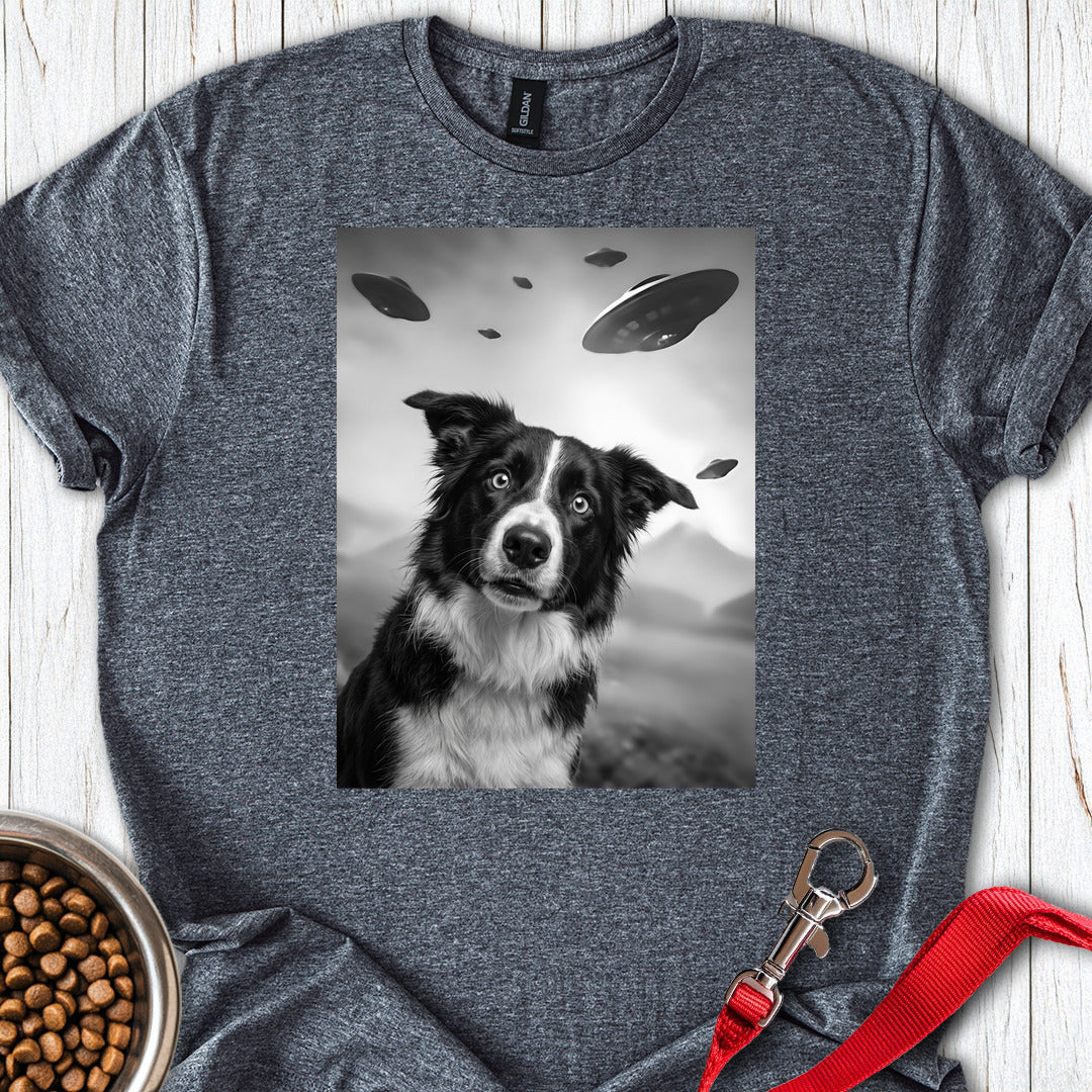 Border Collie UFO — Dark Heather