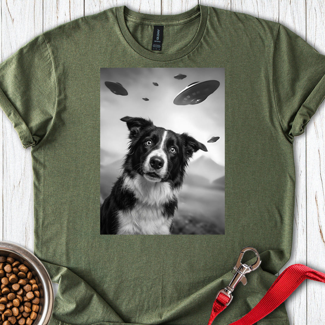Border Collie UFO — Military Green