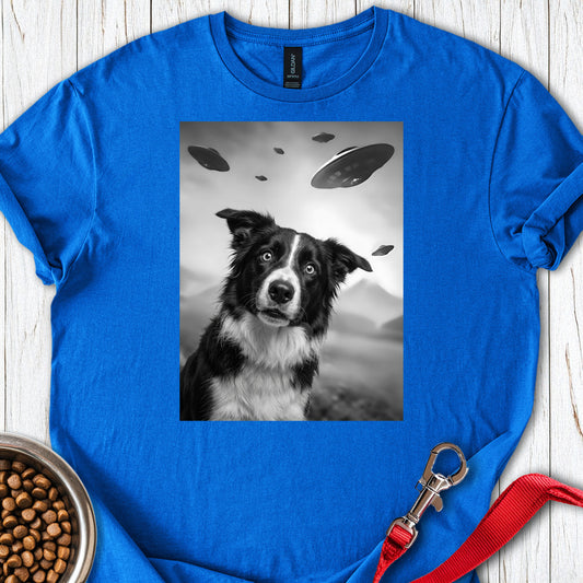 Border Collie UFO — Royal