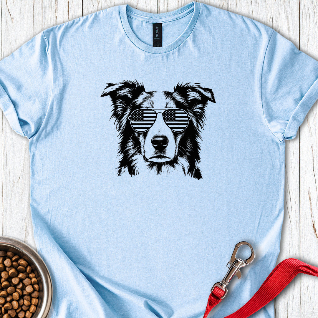 Border Collie USA — Light Blue