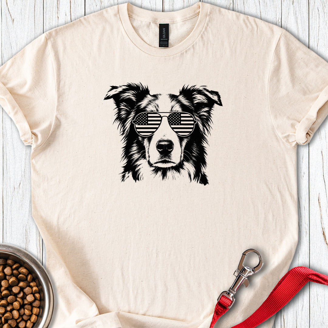 Border Collie USA — Natural