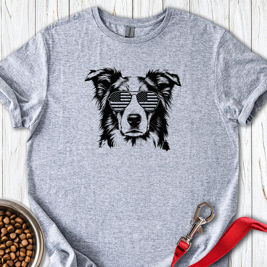 Border Collie USA — Sport Grey