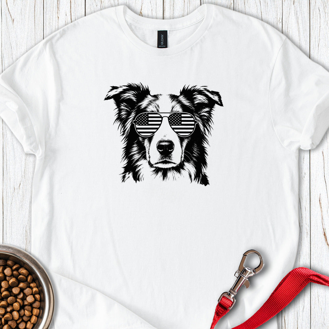 Border Collie USA — White