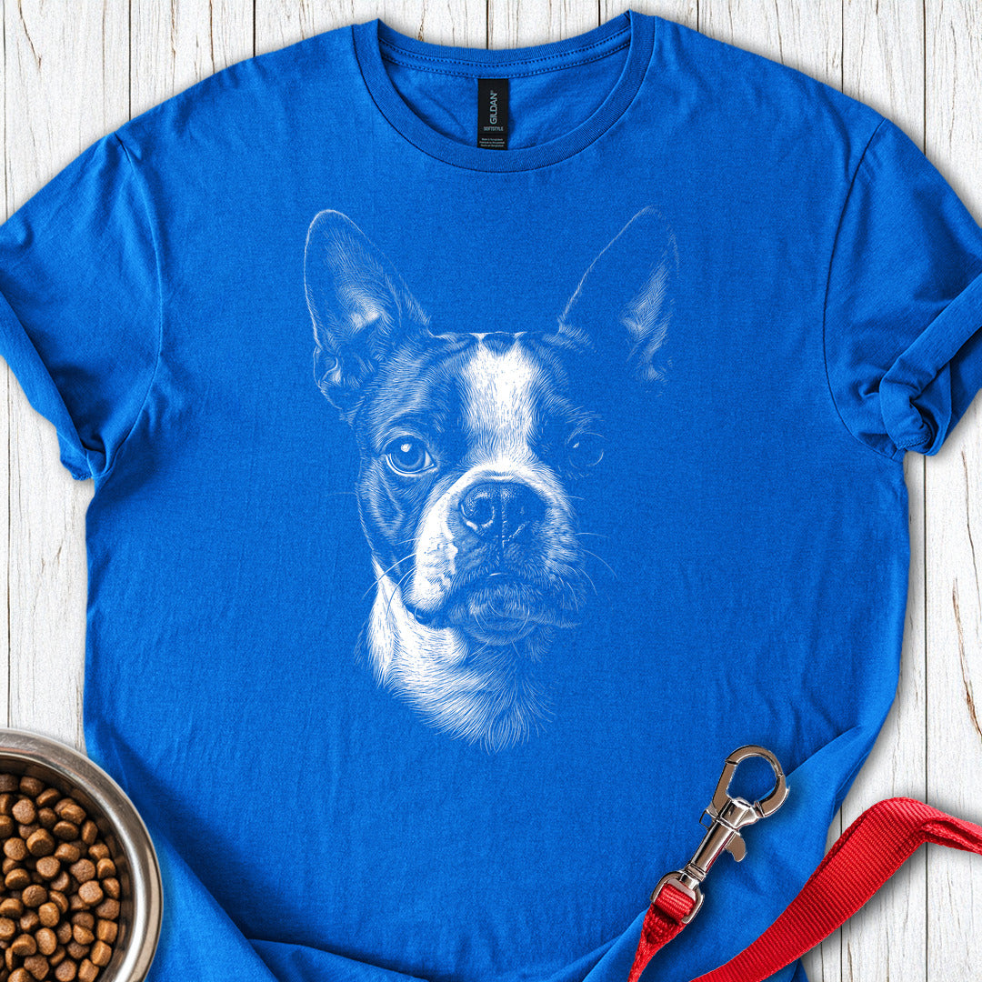 Boston Terrier Portrait — Royal
