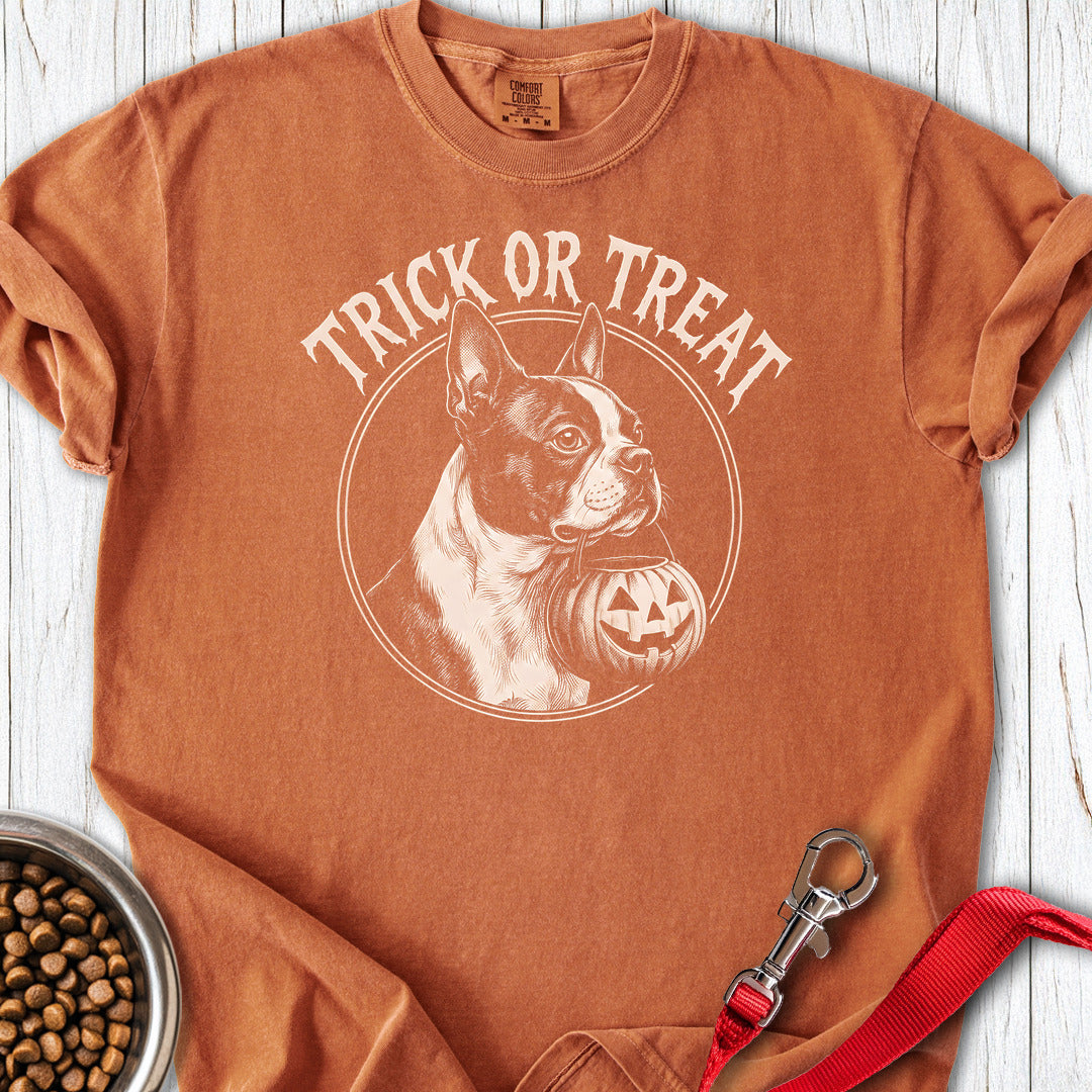Boston Terrier Trick Or Treat Premium Tee — Yam