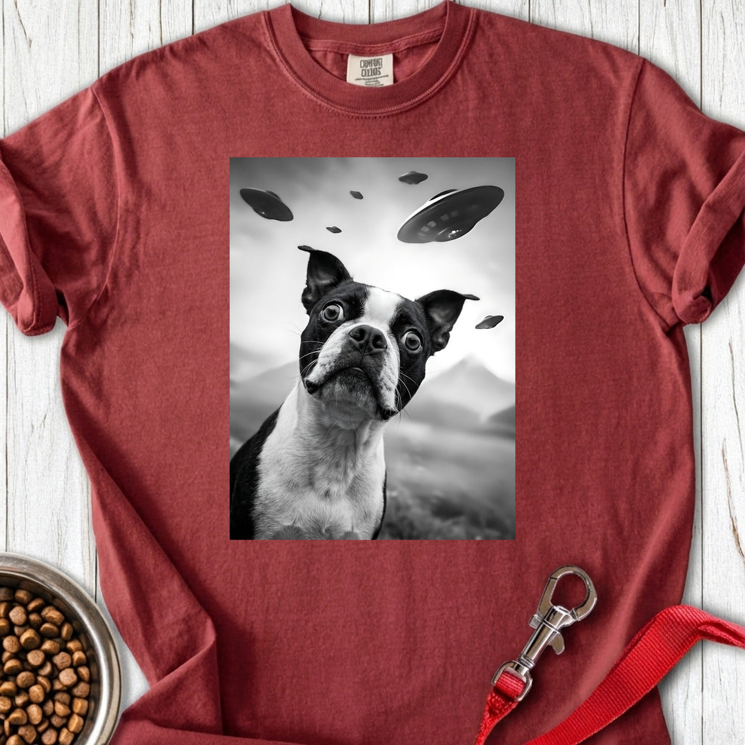 Boston Terrier UFO Premium Tee — Brick