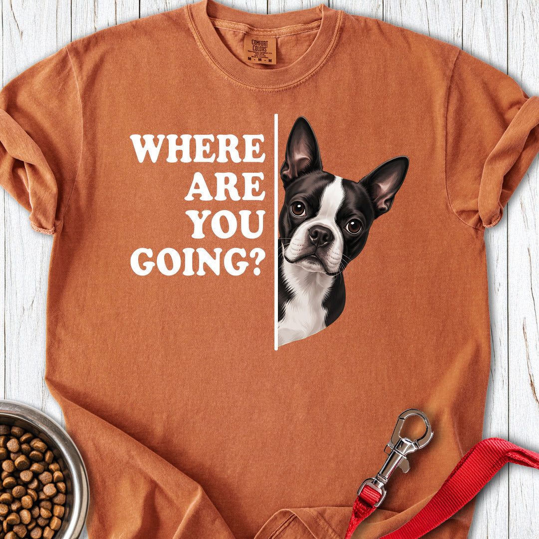 Boston Terrier Where Are You Going Premium Tee — Yam