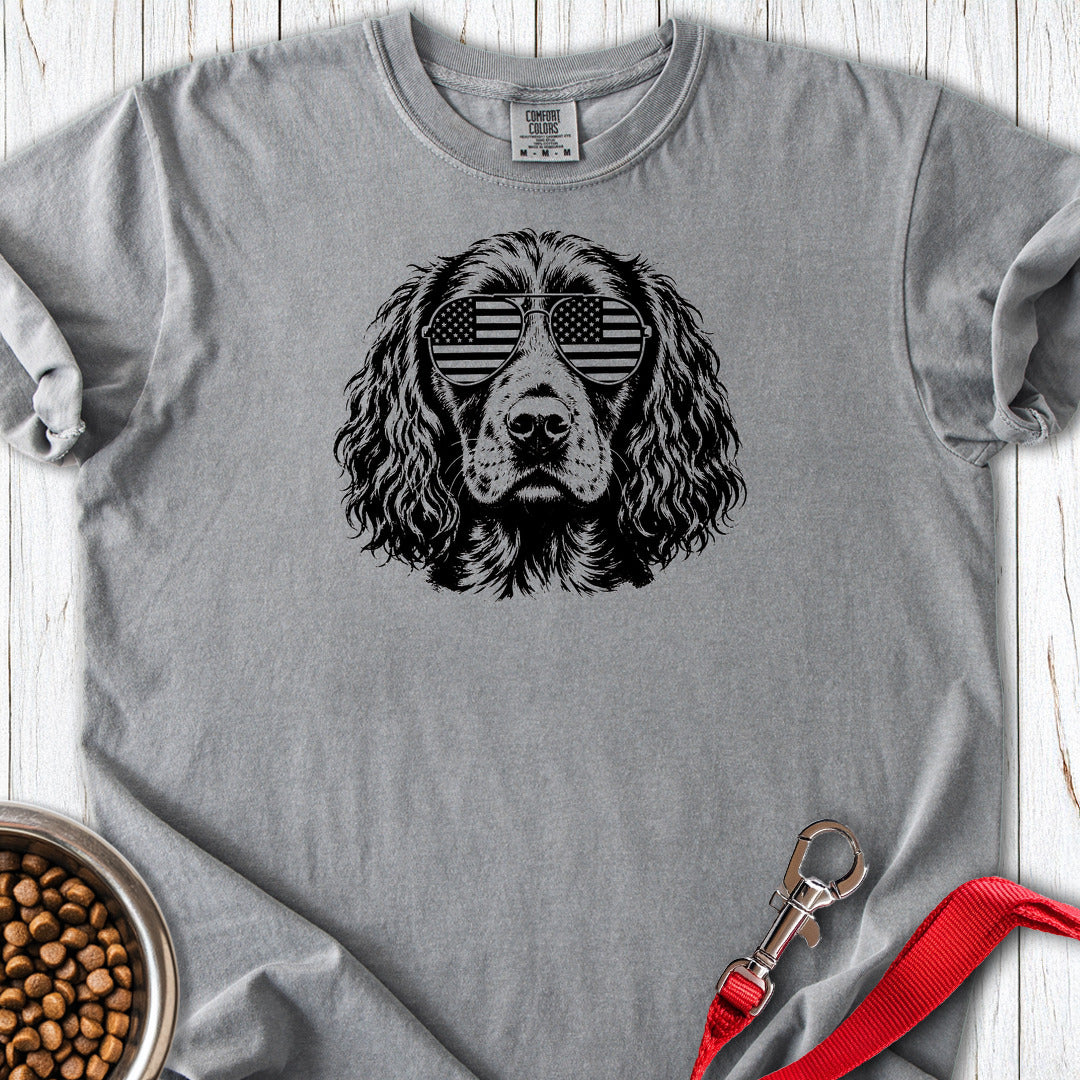 Boykin Spaniel Flag Shades Premium Tee — Grey
