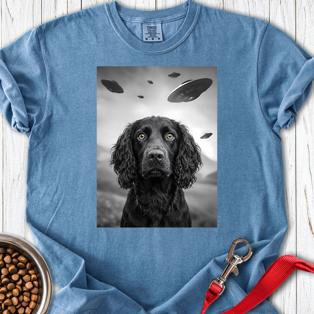 Boykin Spaniel UFO Premium Tee — Blue Jean