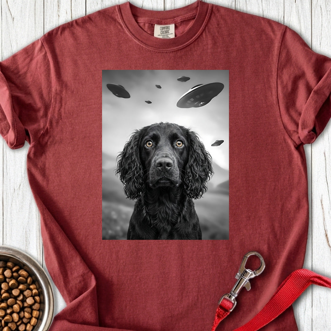 Boykin Spaniel UFO Premium Tee — Brick