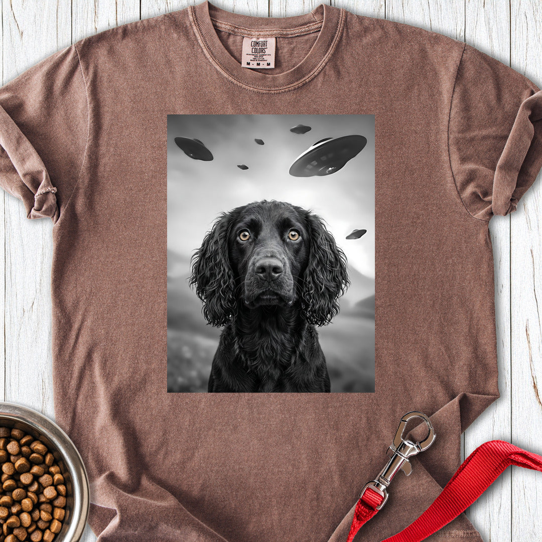 Boykin Spaniel UFO Premium Tee — Espresso