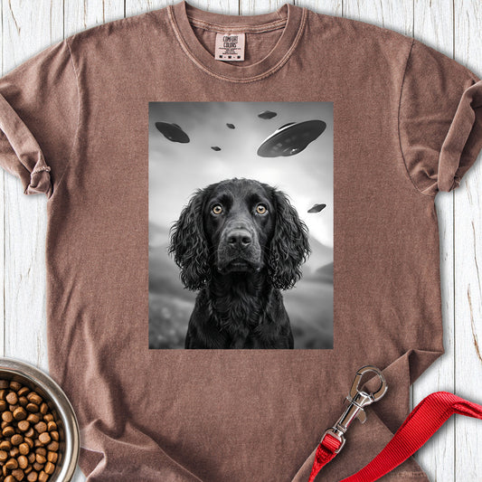 Boykin Spaniel UFO Premium Tee Espresso
