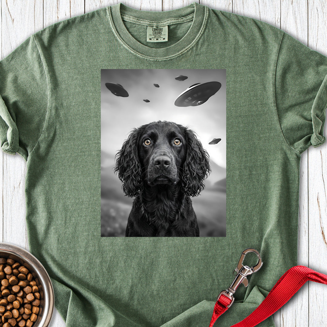 Boykin Spaniel UFO Premium Tee — Moss
