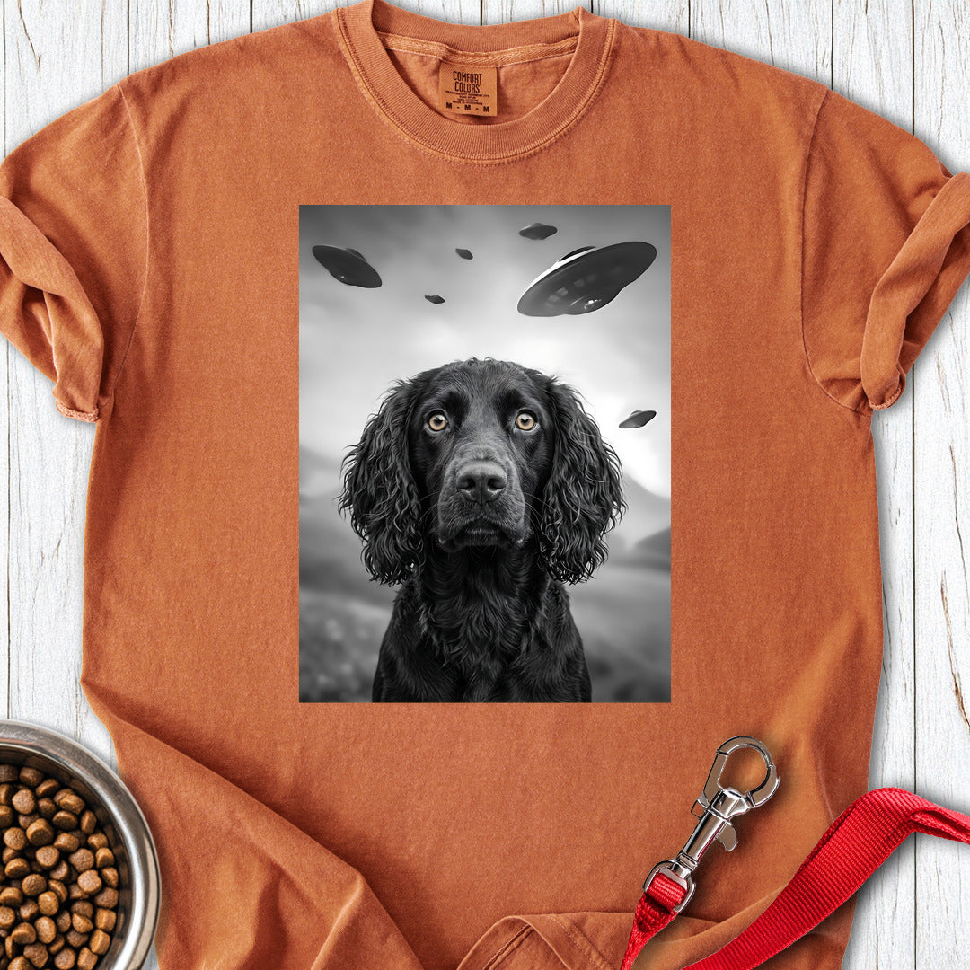 Boykin Spaniel UFO Premium Tee — Yam