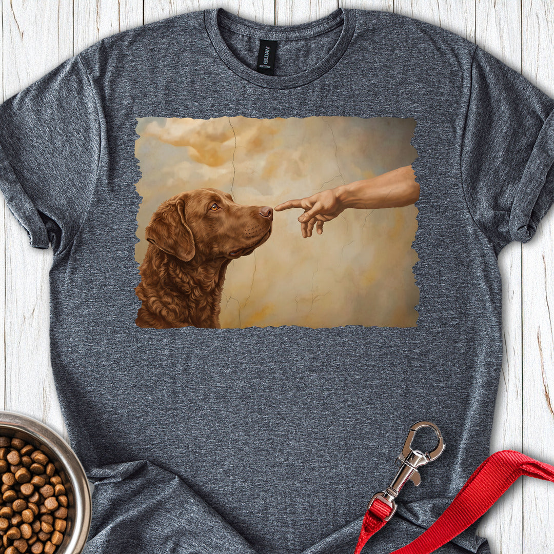 Chesapeake Bay Retriever Creation — Dark Heather