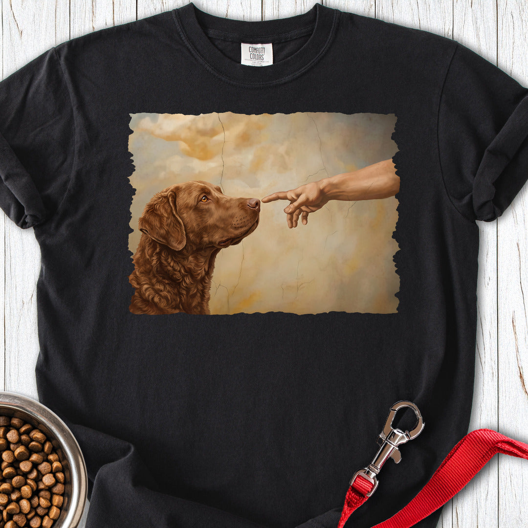 Chesapeake Bay Retriever Creation Premium Tee — Black