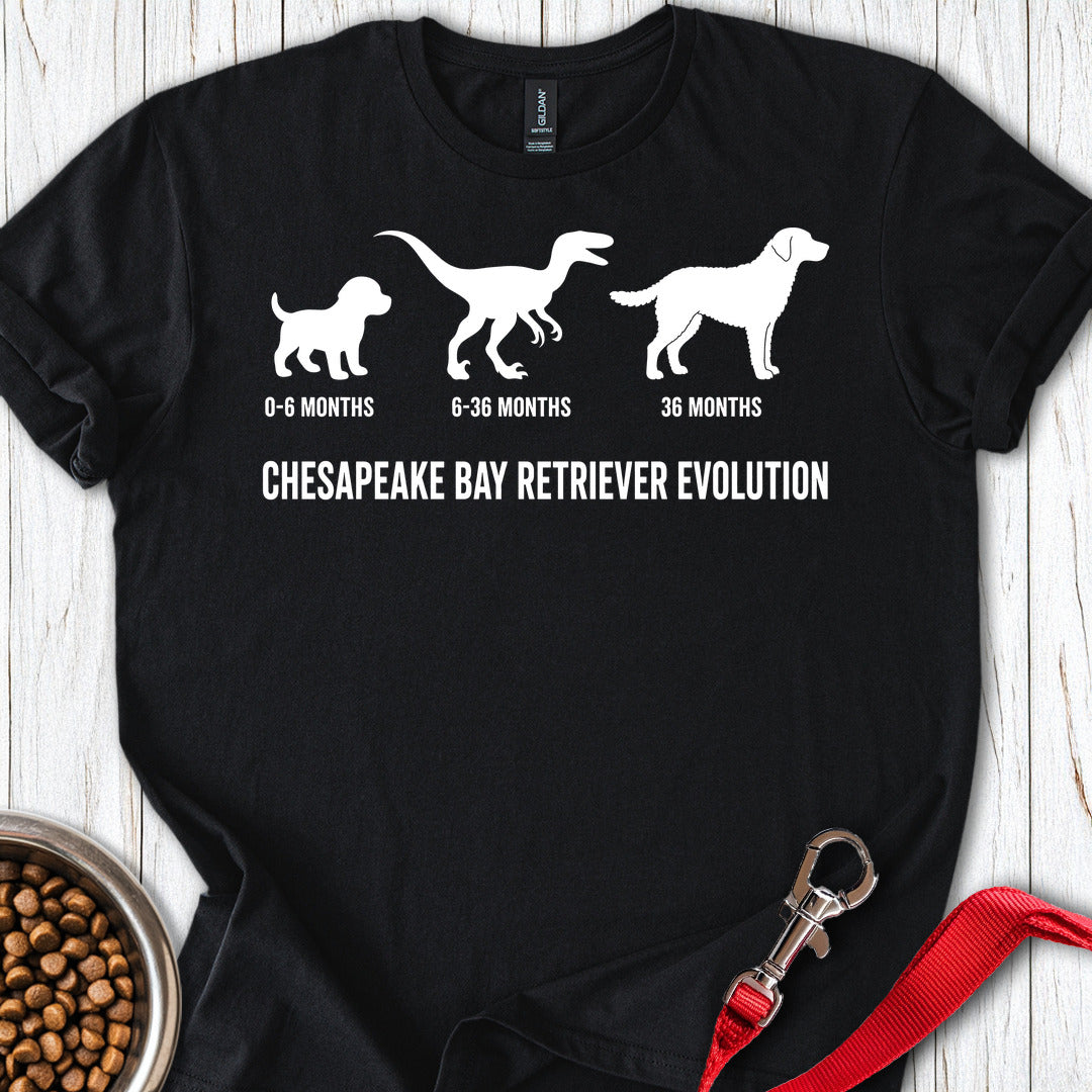 Chesapeake Bay Retriever Evolution — Black