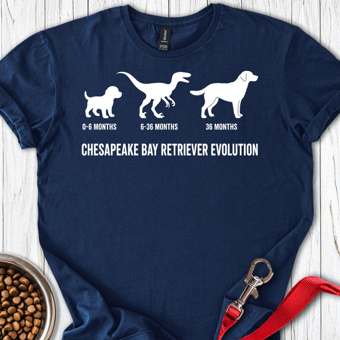 Chesapeake Bay Retriever Evolution — Navy