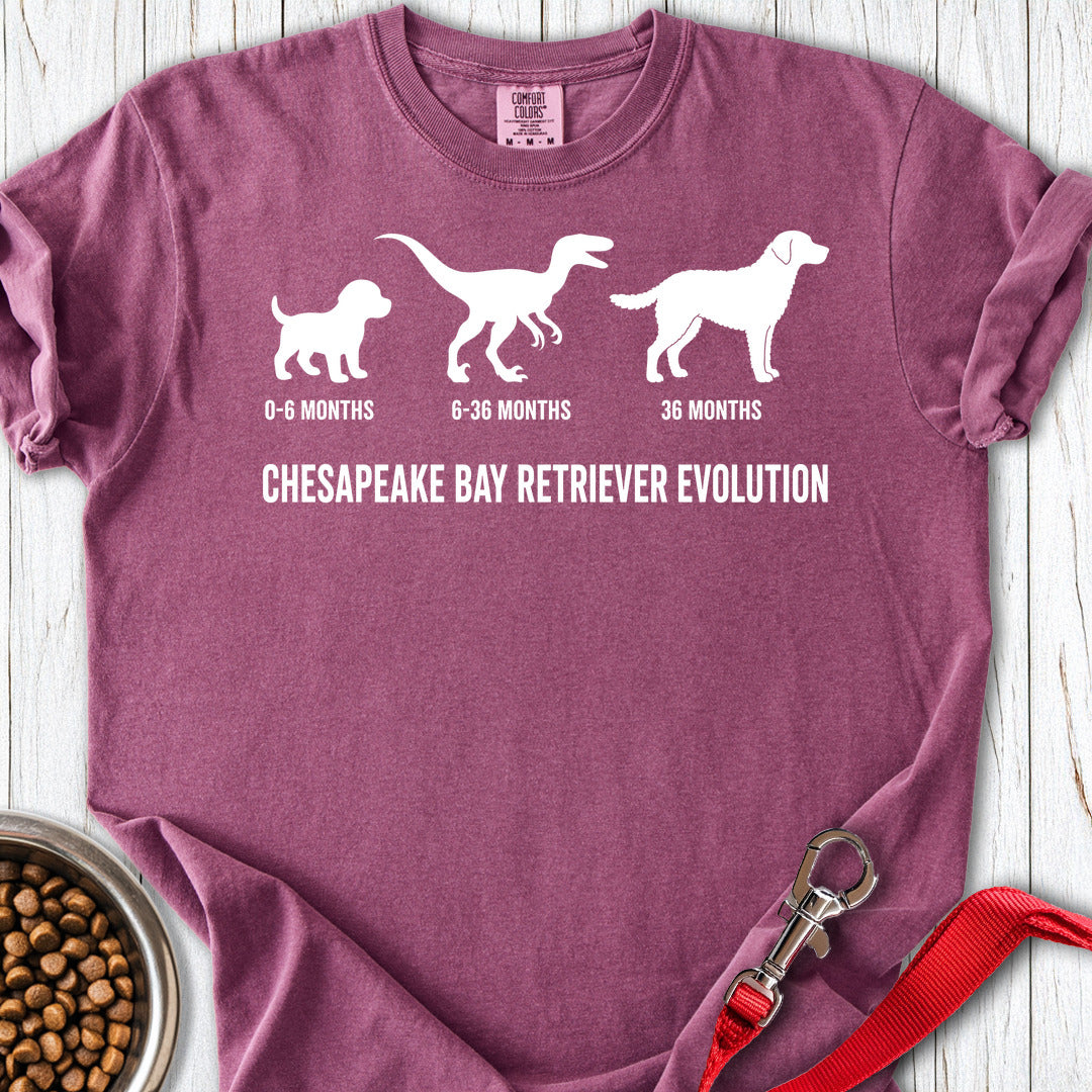 Chesapeake Bay Retriever Evolution Premium Tee — Berry