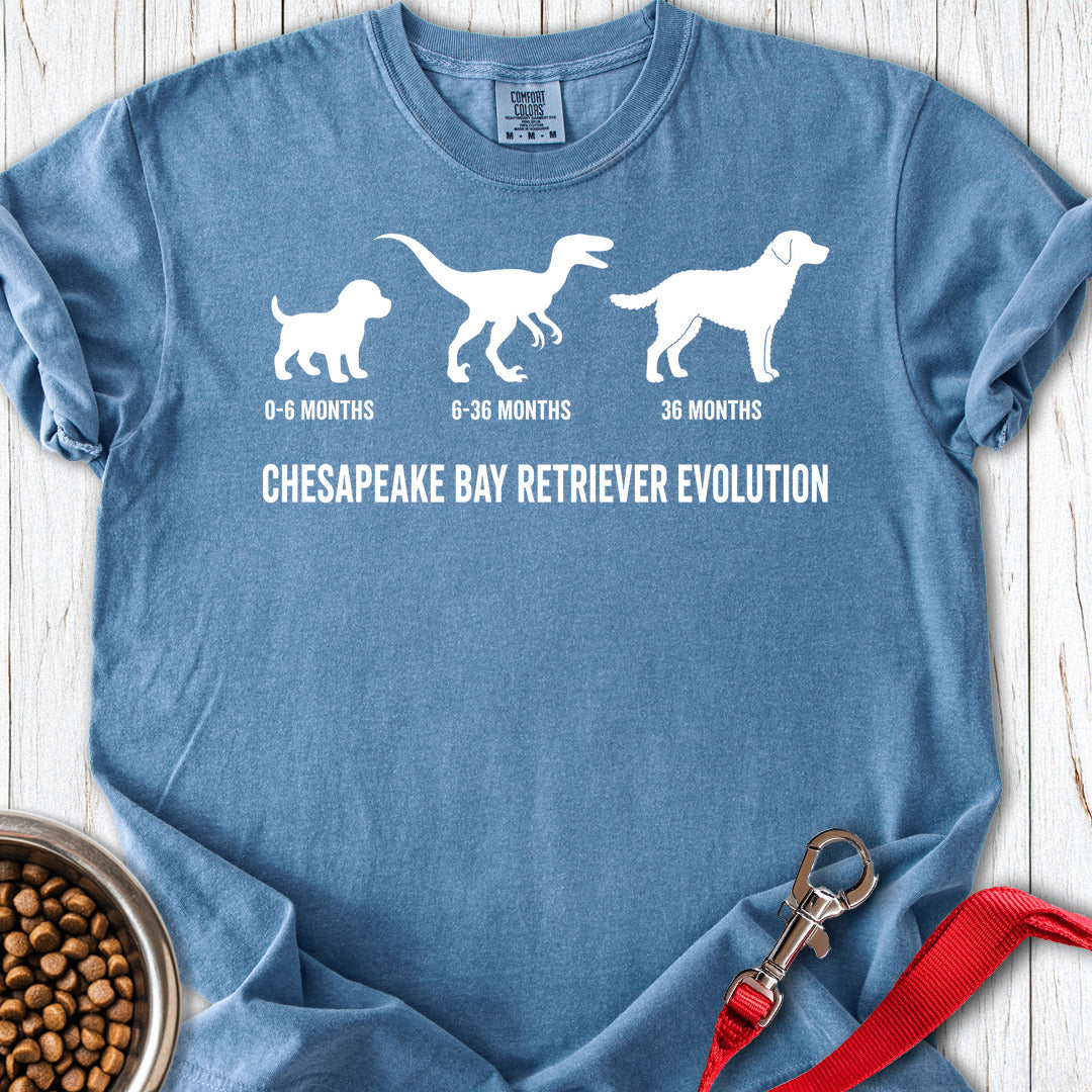 Chesapeake Bay Retriever Evolution Premium Tee — Blue Jean