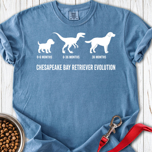 Chesapeake Bay Retriever Evolution Premium Tee — Blue Jean