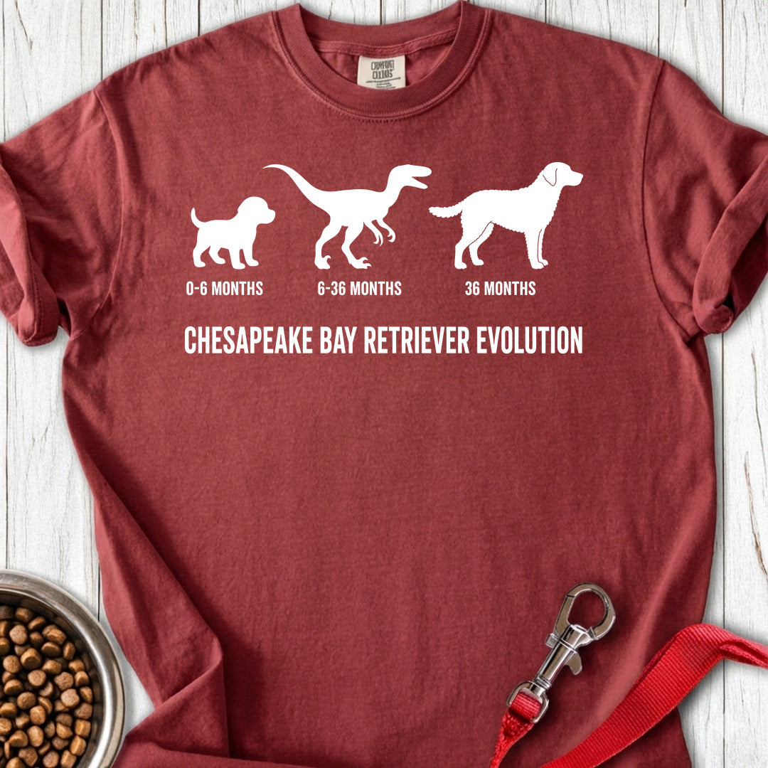 Chesapeake Bay Retriever Evolution Premium Tee — Brick