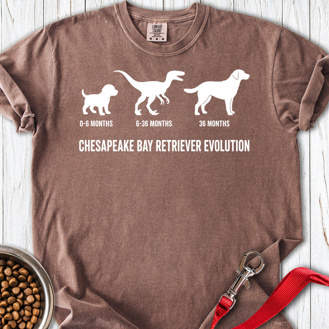 Chesapeake Bay Retriever Evolution Premium Tee — Espresso
