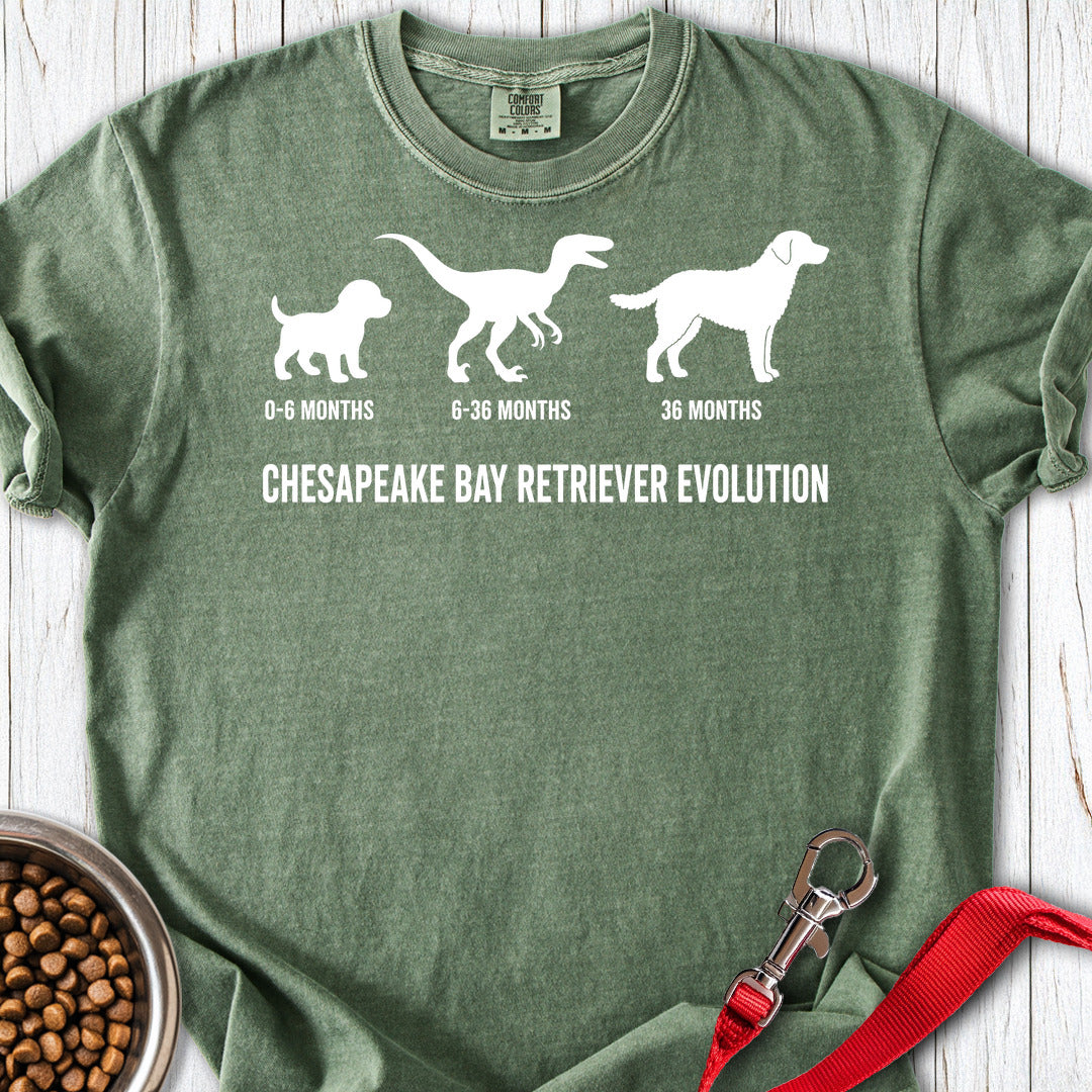 Chesapeake Bay Retriever Evolution Premium Tee — Moss