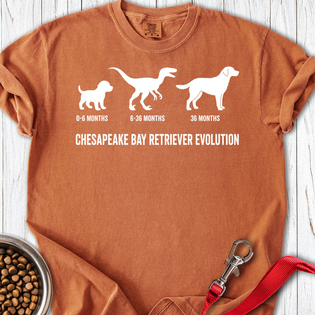 Chesapeake Bay Retriever Evolution Premium Tee — Yam